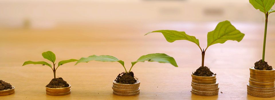 What is Your Strategy for Building Wealth? - Featured Image