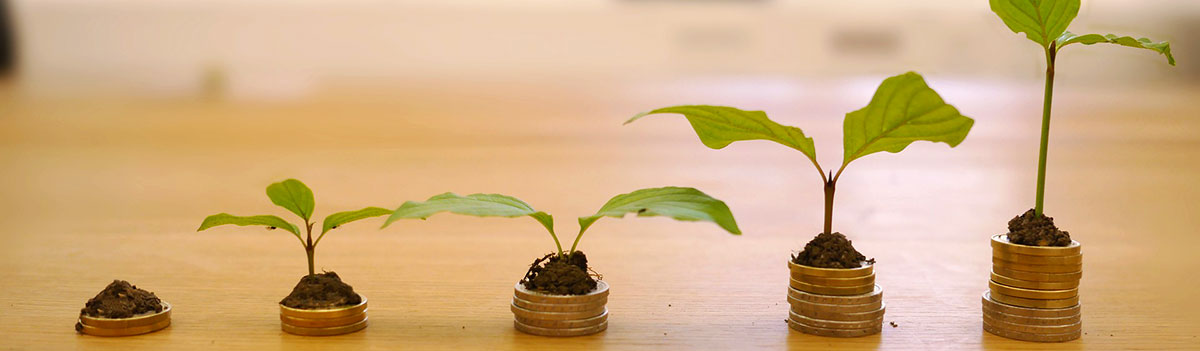 What is Your Strategy for Building Wealth? - Featured Image