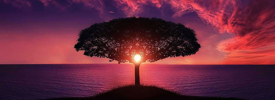 Change Your Thoughts, Change Your Life